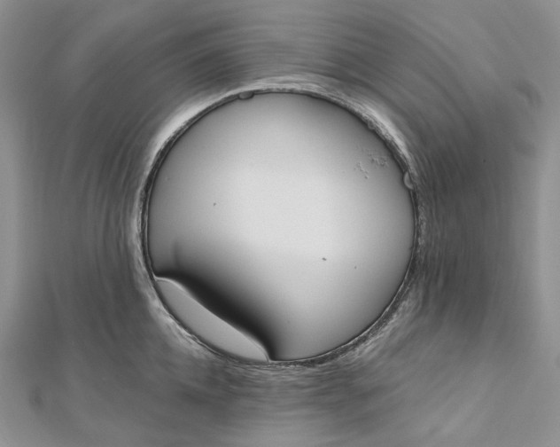 X0000112500952200908311449