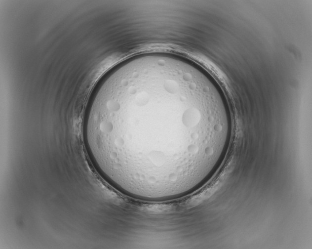 X0000112500953200908311449