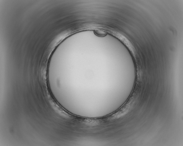 X0000112500954200908311449