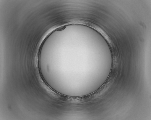 X0000112500955200908311449