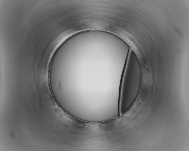 X0000112500956200908311449