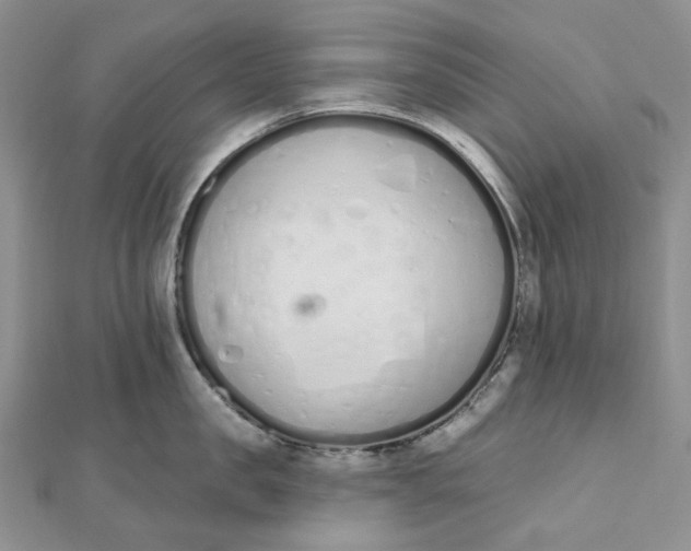 X0000112500957200908311449