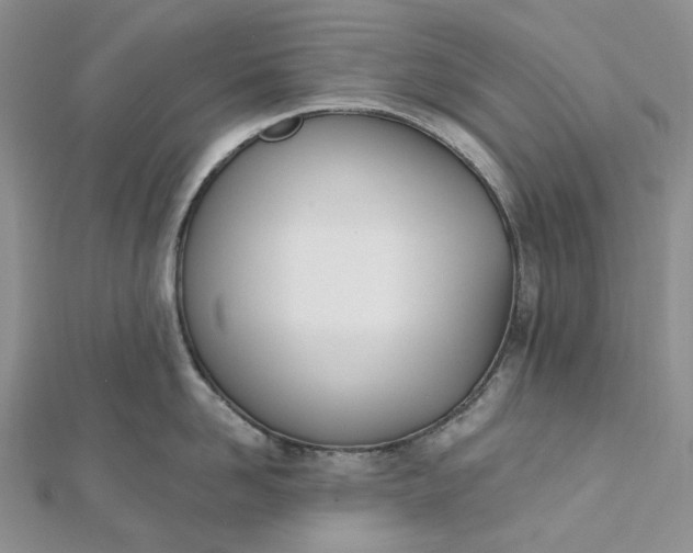 X0000112500958200908311449