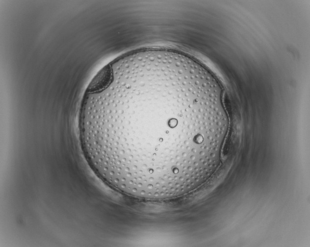 X0000112500959200908311449