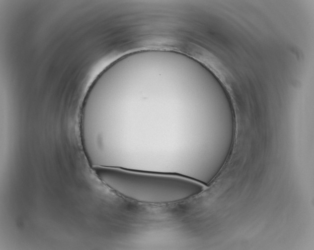 X0000112500960200908311449