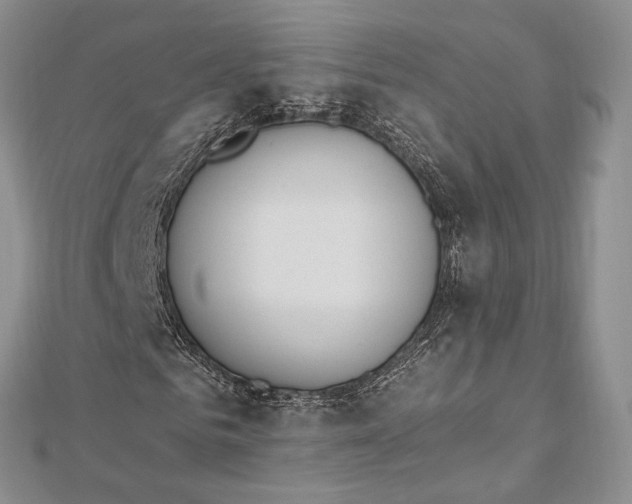 X0000112500961200908311449