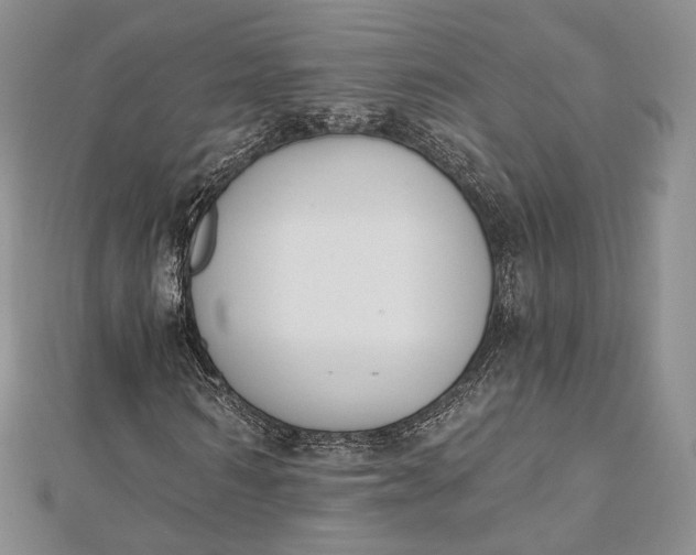 X0000112500962200908311449