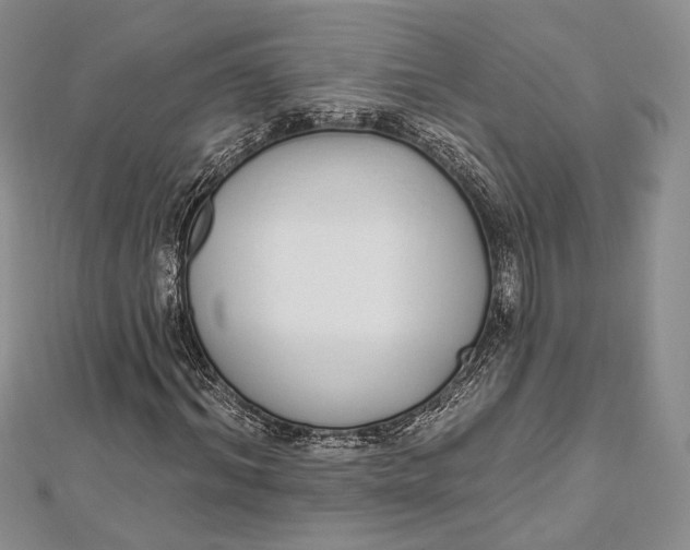 X0000112500964200908311449