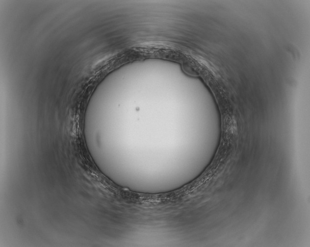 X0000112500965200908311449