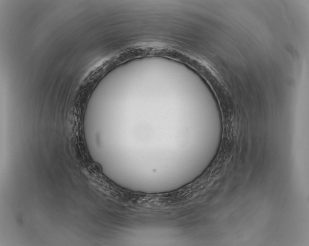 X0000112500967200908311449