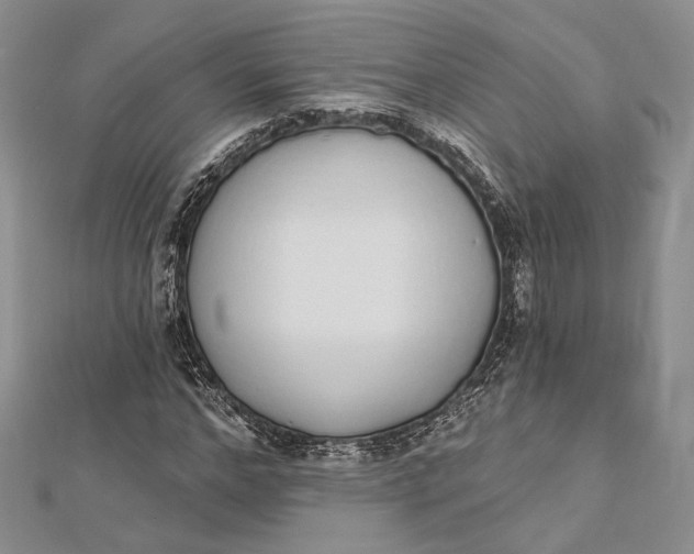 X0000112500968200908311449