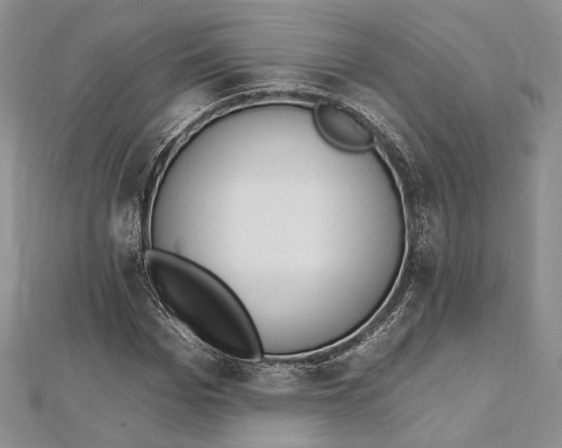 X0000112500969200908311449