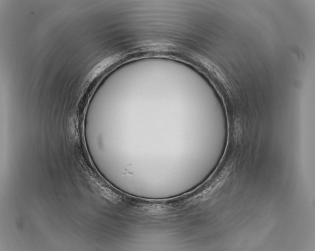 X0000112500970200908311449