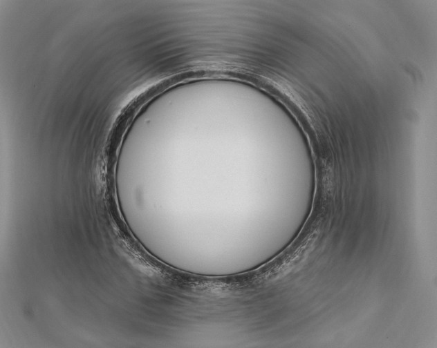 X0000112500971200908311449