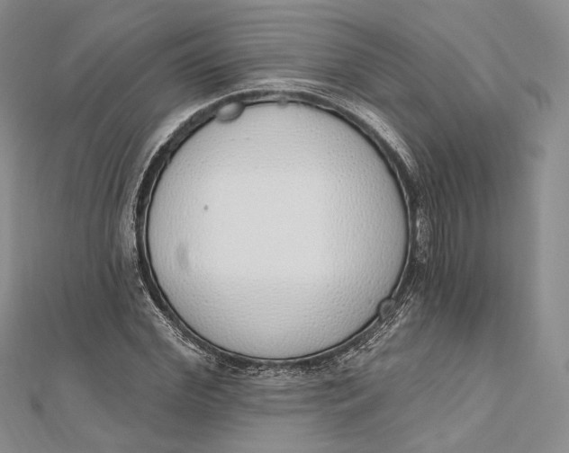 X0000112500972200908311449