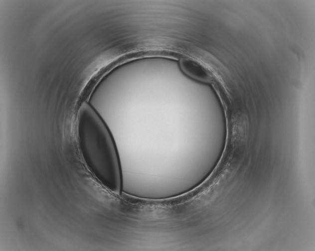 X0000112500973200908311449