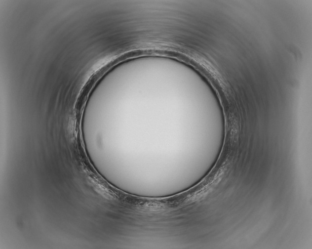 X0000112500974200908311449