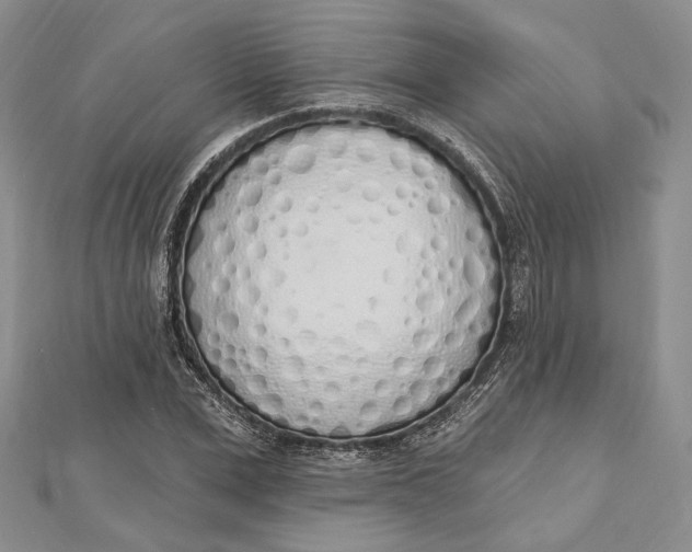 X0000112500975200908311449