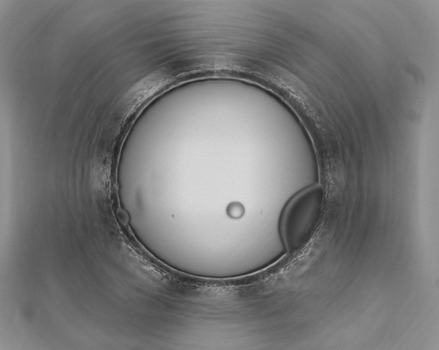 X0000112500977200908311449