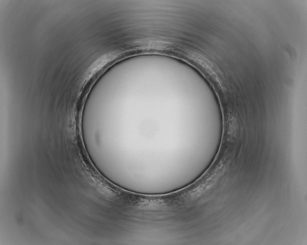 X0000112500978200908311448