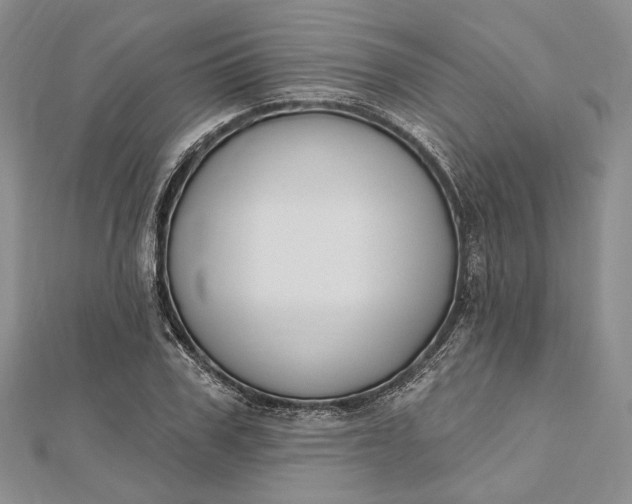 X0000112500979200908311448