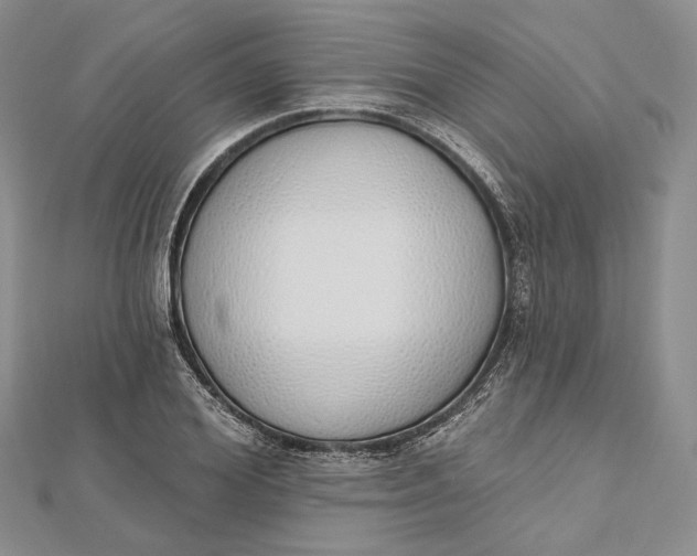 X0000112500980200908311448