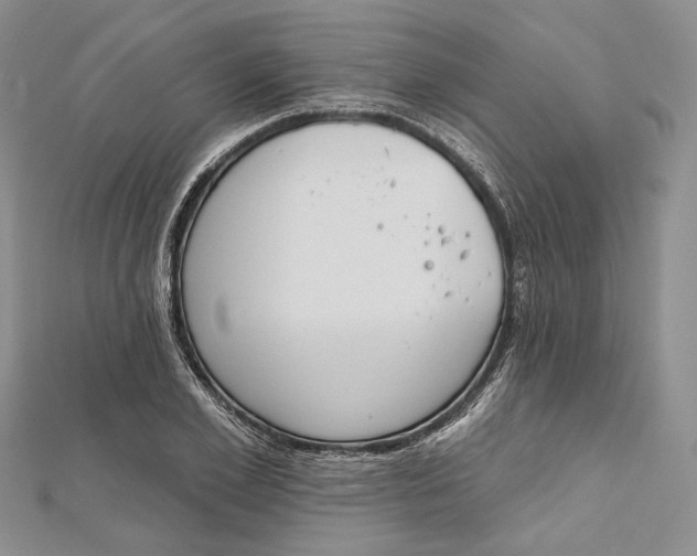 X0000112500981200908311448