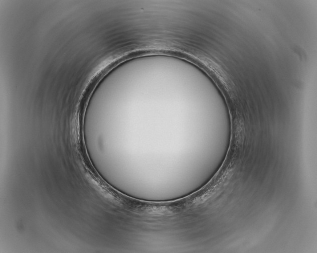 X0000112500982200908311448