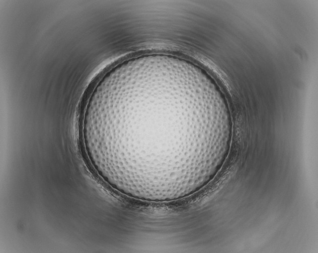 X0000112500983200908311448