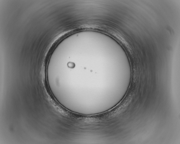 X0000112500984200908311448