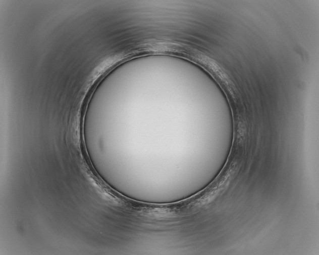 X0000112500986200908311448