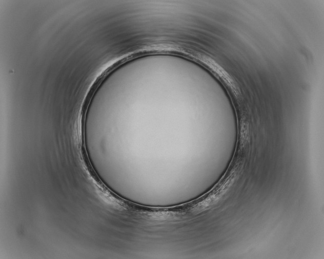 X0000112500988200908311448