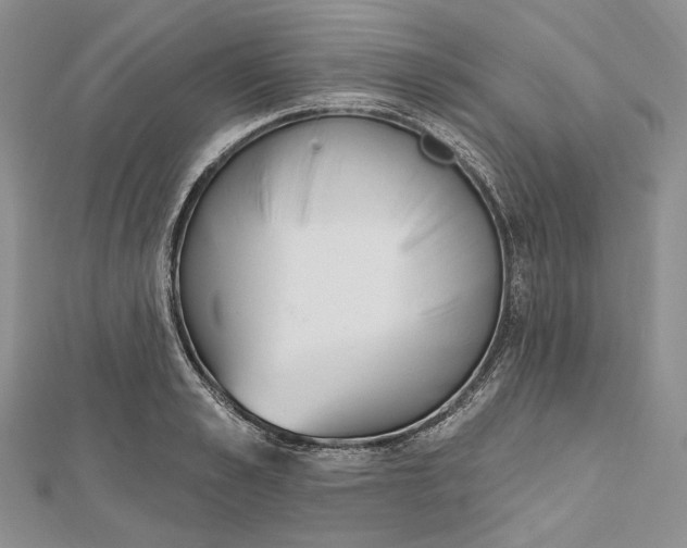 X0000112500989200908311448