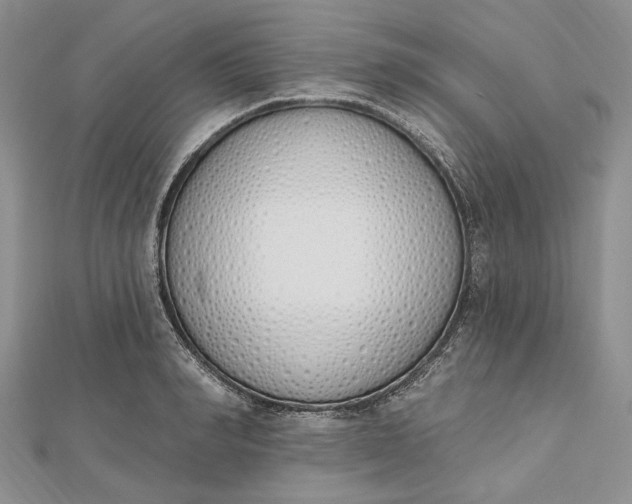 X0000112500990200908311448