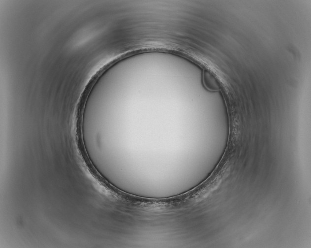 X0000112500991200908311448