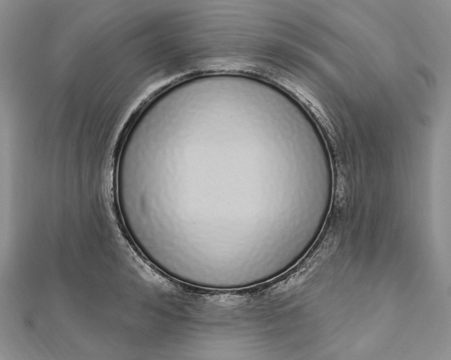 X0000112500992200908311448