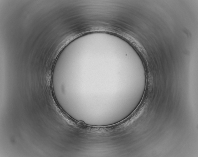 X0000112500993200908311448