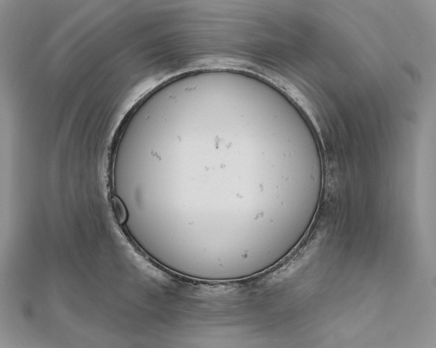 X0000112500997200908311448