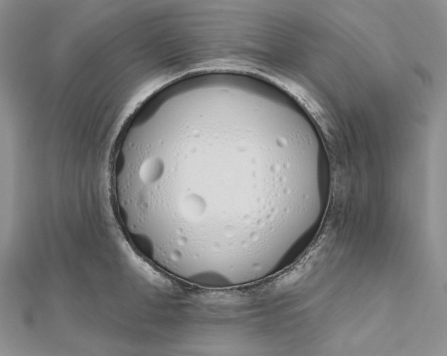 X0000112500998200908311448