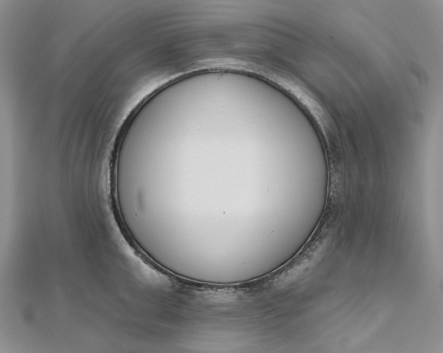 X0000112500999200908311448