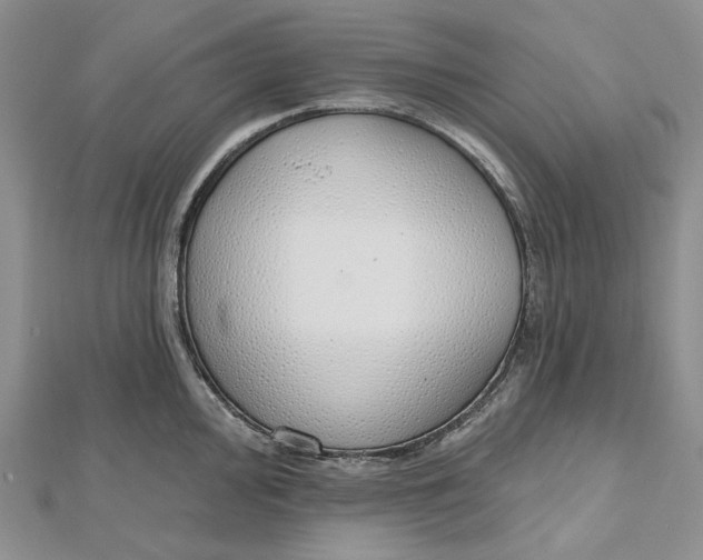 X0000112501000200908311448