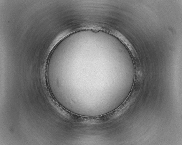 X0000112501002200908311448