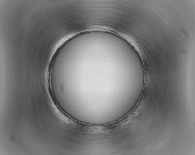 X0000112501003200908311448