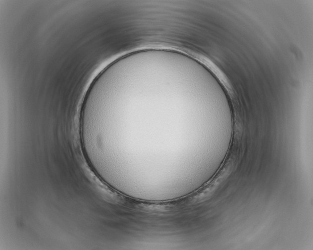 X0000112501004200908311448