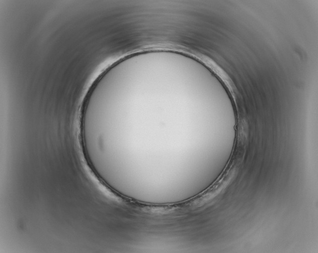 X0000112501005200908311448