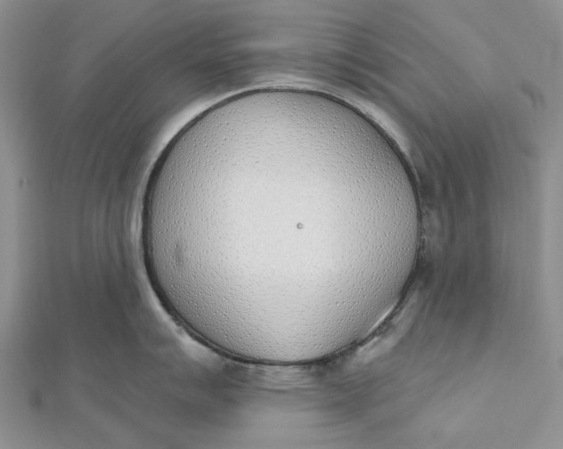 X0000112501007200908311448