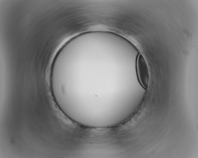 X0000112501008200908311448