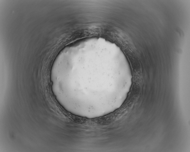 X0000112501009200908311447