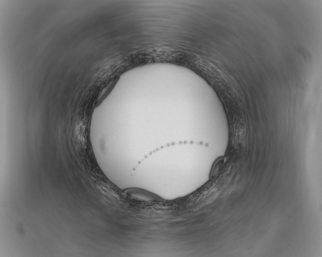 X0000112501010200908311447