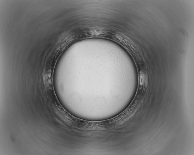 X0000112501011200908311447